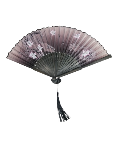 بادبزن مجلسی